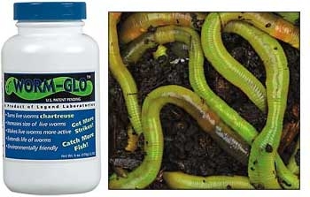 Canadian Nightcrawlers Worms (Live Bait) - NORTH RIVER OUTDOORS