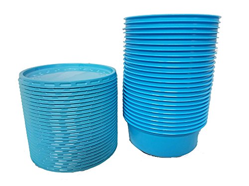 Blue Plastic Bait Cups with Vented Lids 